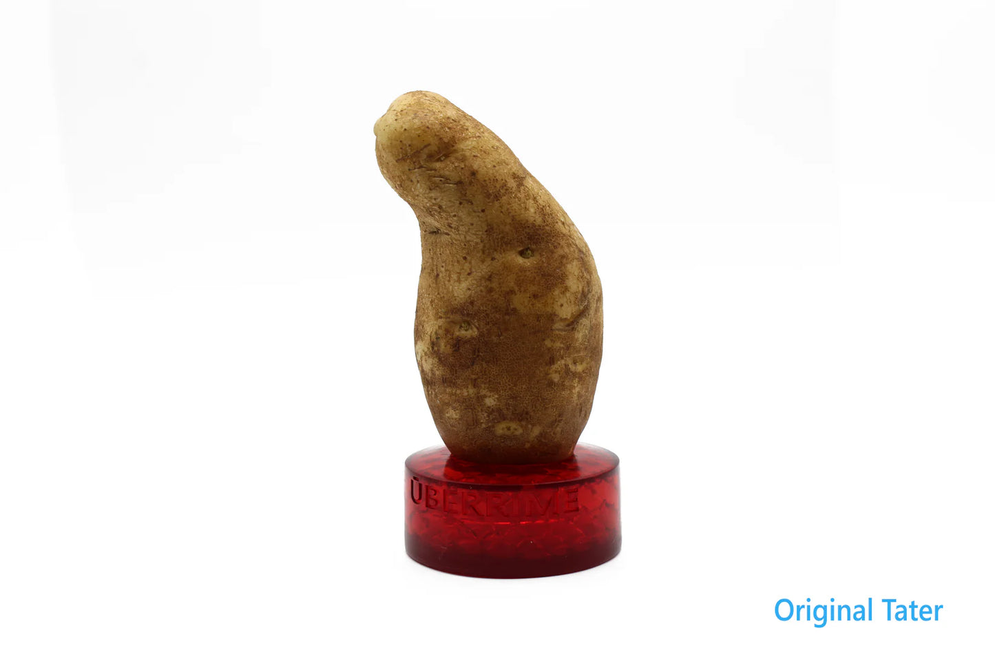 THE DICKTATER DILDO